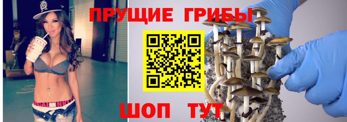 Псилоцибиновые грибы Cubensis Великий Новгород