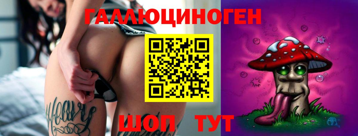 Великий Новгород  Галлюциногенные грибы мухоморы  Вход с VPN 